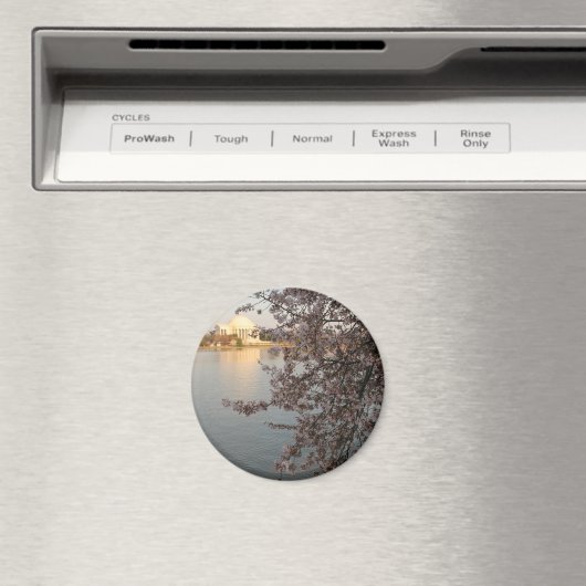 Cherry Blossom Washington DC Magneet (Insitu (Vaatwasser))