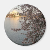 Cherry Blossom Washington DC Magneet (Voorkant)