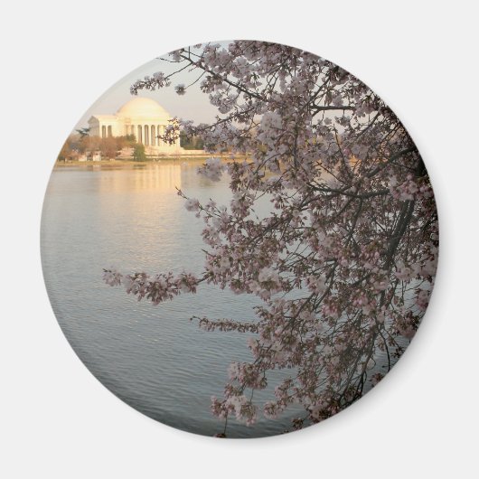 Cherry Blossom Washington DC Magneet (Voorkant)