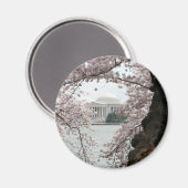 Cherry Blossom Washington DC Magneet (Voorkant / Achterkant)
