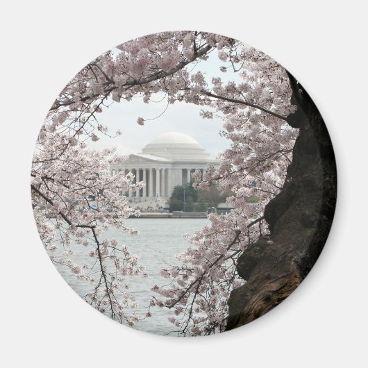 Cherry Blossom Washington DC Magneet (Voorkant)