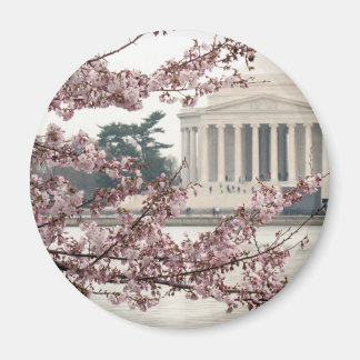 Cherry Blossom Washington DC Magneet