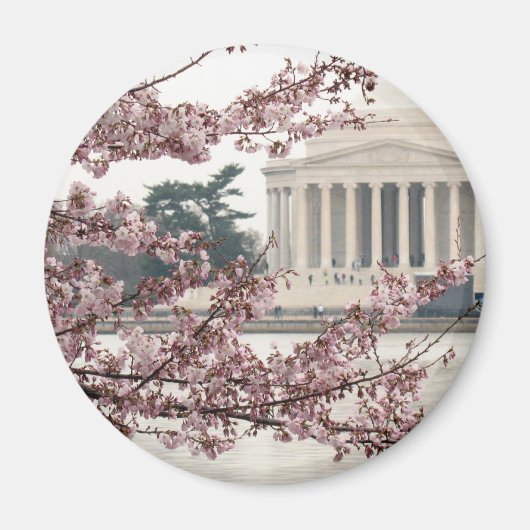 Cherry Blossom Washington DC Magneet (Voorkant)
