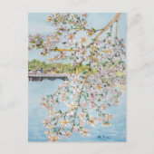 Cherry Blossom Washington DC Painterly Waterverf Briefkaart (Voorkant)