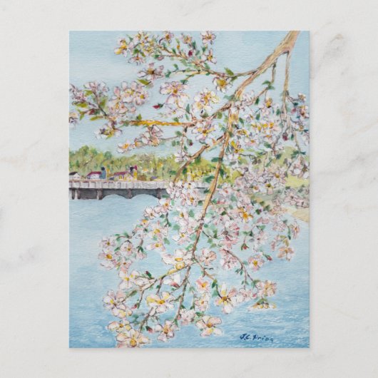Cherry Blossom Washington DC Painterly Waterverf Briefkaart (Voorkant)