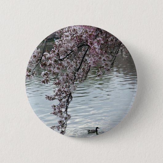 Cherry Blossom Washington DC Ronde Button 5,7 Cm (Voorkant)