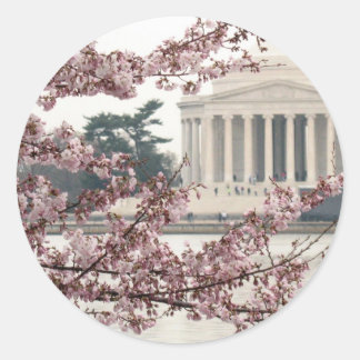 Cherry Blossom Washington DC Ronde Sticker