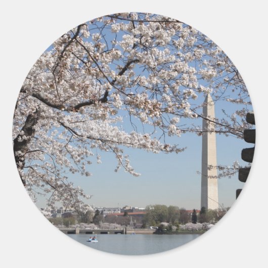 Cherry Blossom Washington DC Ronde Sticker (Voorkant)