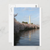 Cherry Blossom Washington monument Briefkaart (Voorkant / Achterkant)