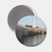Cherry Blossom Washington monument Magneet (Voorkant / Achterkant)