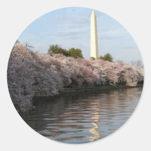 Cherry Blossom Washington monument Ronde Sticker