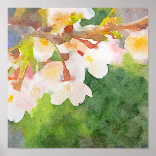 Cherry Blossom Waterverf Sakura Flowers Spring Poster