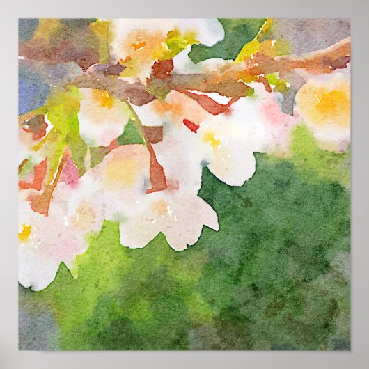 Cherry Blossom Waterverf Sakura Flowers Spring Poster (Voorkant)