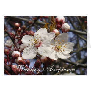 Cherry Blossom Wedding Acceptcard