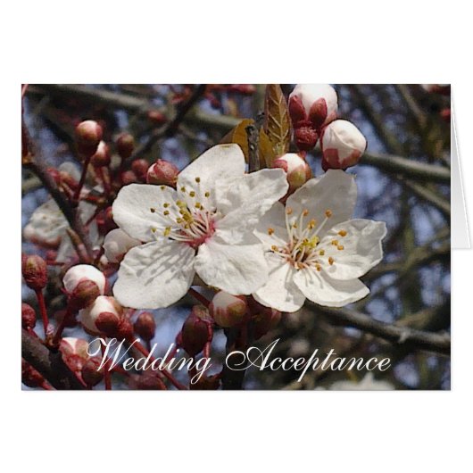 Cherry Blossom Wedding Acceptcard (Voorkant Horizontaal)