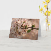 Cherry Blossom Wenskaart Kaart (Gele Bloem)