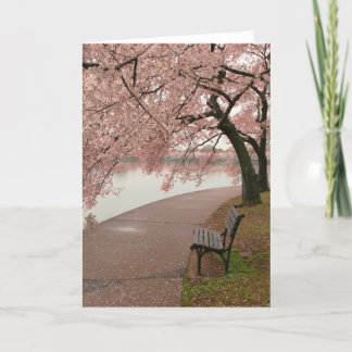 Cherry Blossom Wenskaart Kaart