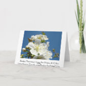 Cherry Blossom Wenskaarten Blue Sky Spring Feestdagen Kaart (Achterkant)