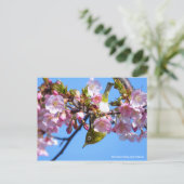 Cherry blossom & White-eye [Briefkaart] Briefkaart (Staand voorkant)