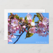 Cherry blossom & White-eye [Briefkaart] Briefkaart (Voorkant / Achterkant)