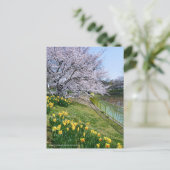 Cherry blossom & Wild Daffodil Briefkaart (Staand voorkant)