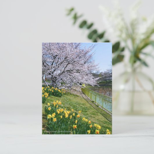 Cherry blossom & Wild Daffodil Briefkaart (Staand voorkant)
