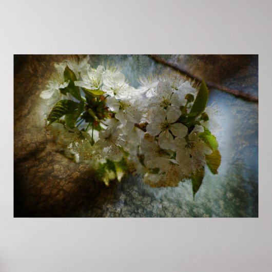 Cherry Blossom Wonder Poster (Voorkant)