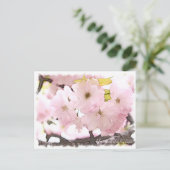 Cherry Blossom "Yae-benitoranowo" Briefkaart (Staand voorkant)