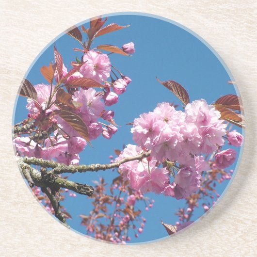 Cherry Blossom Zandsteen Onderzetter (Voorkant)