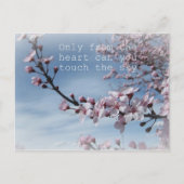 Cherry Blossom Zen Flowering Tree Post Card Briefkaart (Voorkant)