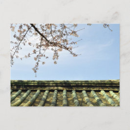 Cherry Blossom: Zojoji Temple, Tokyo, Japan Postca Briefkaart