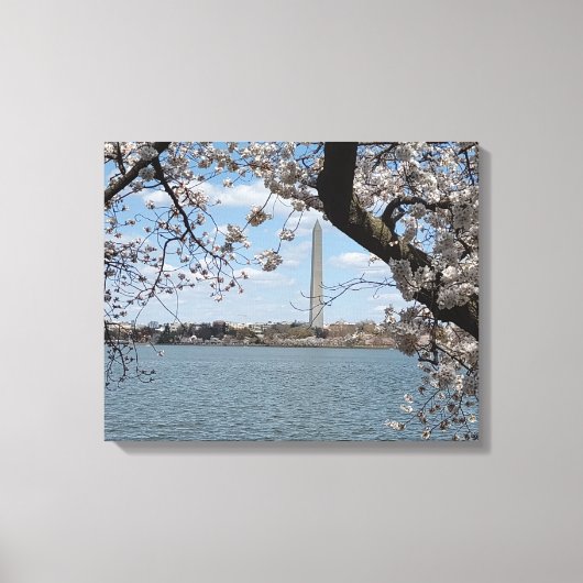 CHERRY BLOSSOMS #1 OP CANVAS 20 "x 16" Afdruk (Voorkant)