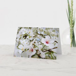Cherry Blossoms 5 Sympathy Card Kaart