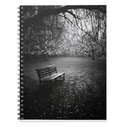 Cherry Blossoms Bench Sunrise Notitieboek (Voorkant)