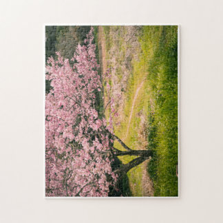 Cherry blossoms blooming in the rural hill legpuzzel