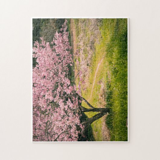 Cherry blossoms blooming in the rural hill legpuzzel (Verticaal)