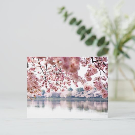 Cherry Blossoms Briefkaart (Staand voorkant)