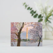Cherry Blossoms Briefkaart (Staand voorkant)