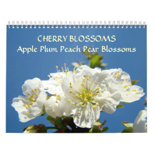 CHERRY BLOSSOMS Calendar Apple Blossom Pear Peach Kalender
