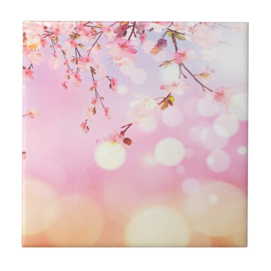 Cherry Blossoms Floral Background Flower Tegeltje (Voorkant)