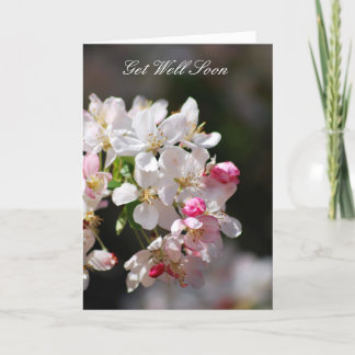 Cherry blossoms Get Well Soon Kaart