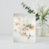 Cherry Blossoms Natuur Foto Briefkaart (Staand voorkant)