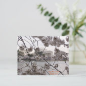 Cherry Blossoms on the Tidal Basin Briefkaart (Staand voorkant)