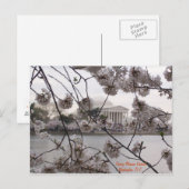 Cherry Blossoms on the Tidal Basin Briefkaart (Voorkant / Achterkant)