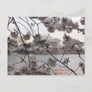 Cherry Blossoms on the Tidal Basin Briefkaart