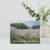 "Cherry Blossoms" Postcard Briefkaart (Staand voorkant)