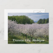 "Cherry Blossoms" Postcard Briefkaart (Voorkant / Achterkant)