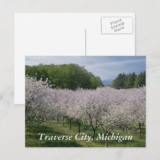 "Cherry Blossoms" Postcard Briefkaart (Voorkant / Achterkant)