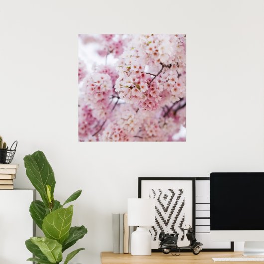 Cherry Blossoms Poster (Thuiskantoor)