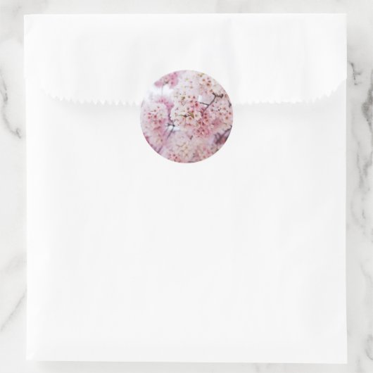 Cherry Blossoms Ronde Sticker (Tas)